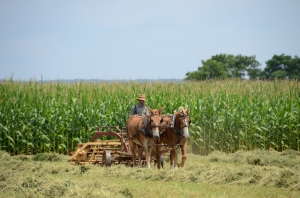 Amish Peoples , Lancaster USA        